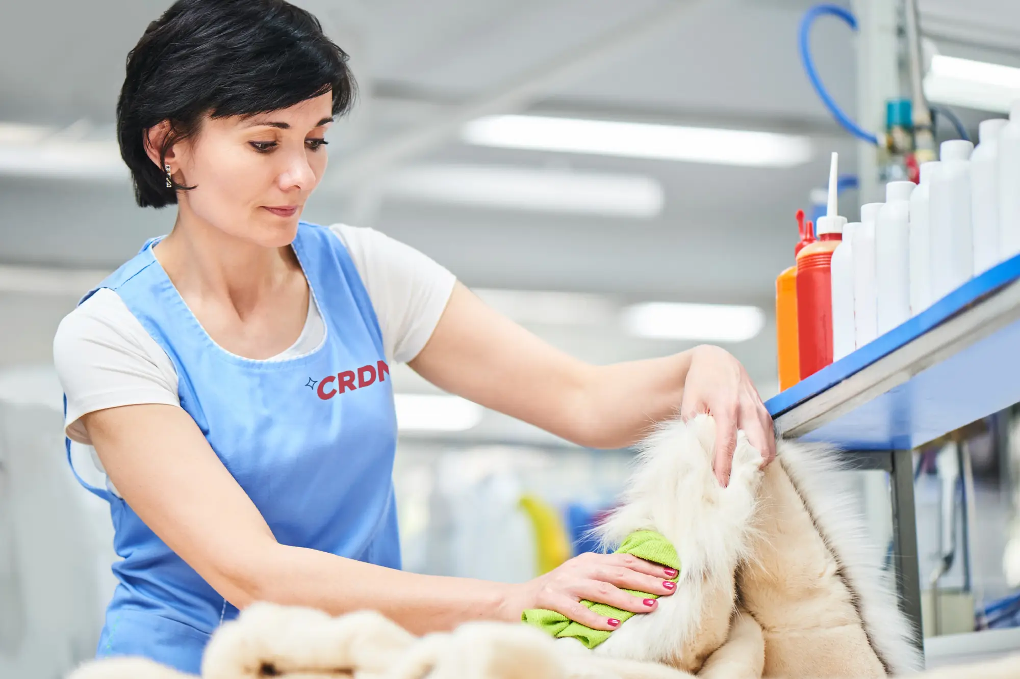 A worker in a blue apron carefully cleans a fur garment with a green cloth at a well-lit workspace filled with cleaning supplies.